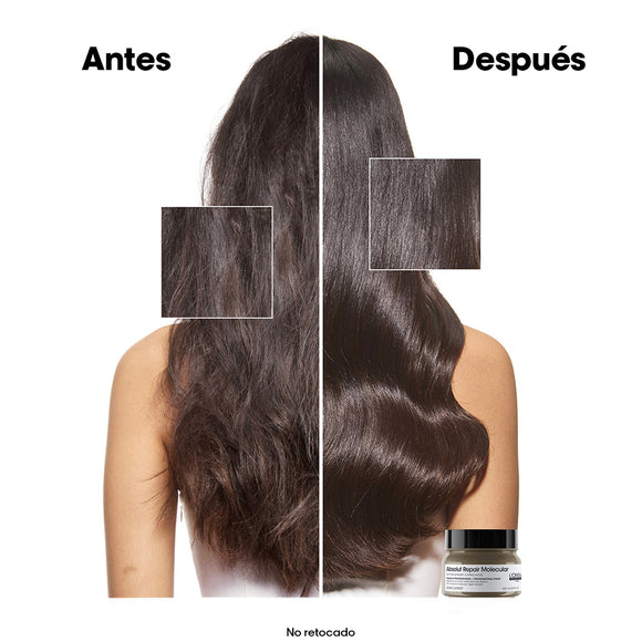 MASCARILLA L'ORÉAL PROFESSIONNEL ABS REPAIR MOLECULAR 250ML LOREAL CAPILAR