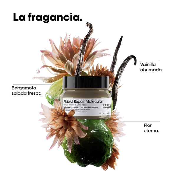 MASCARILLA L'ORÉAL PROFESSIONNEL ABS REPAIR MOLECULAR 250ML LOREAL CAPILAR