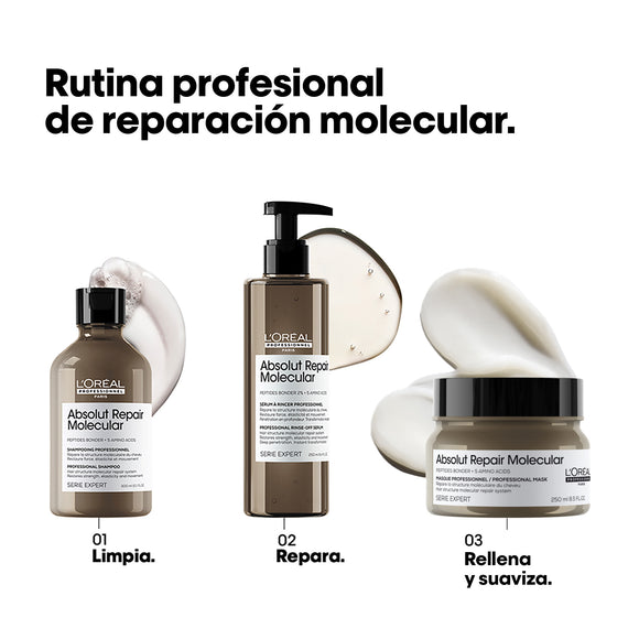 MASCARILLA L'ORÉAL PROFESSIONNEL ABS REPAIR MOLECULAR 250ML LOREAL CAPILAR