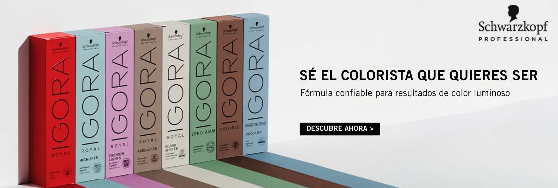 Banner web desktop american